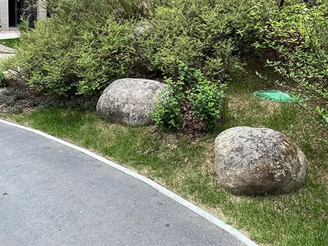 Ландшафтный камень - 5
